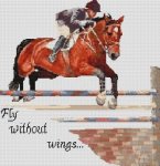 (image for) Fly Without Wings